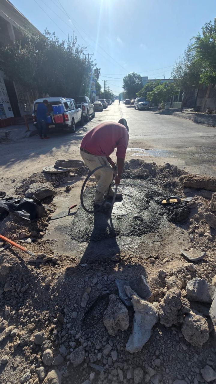 Imagen de la obra