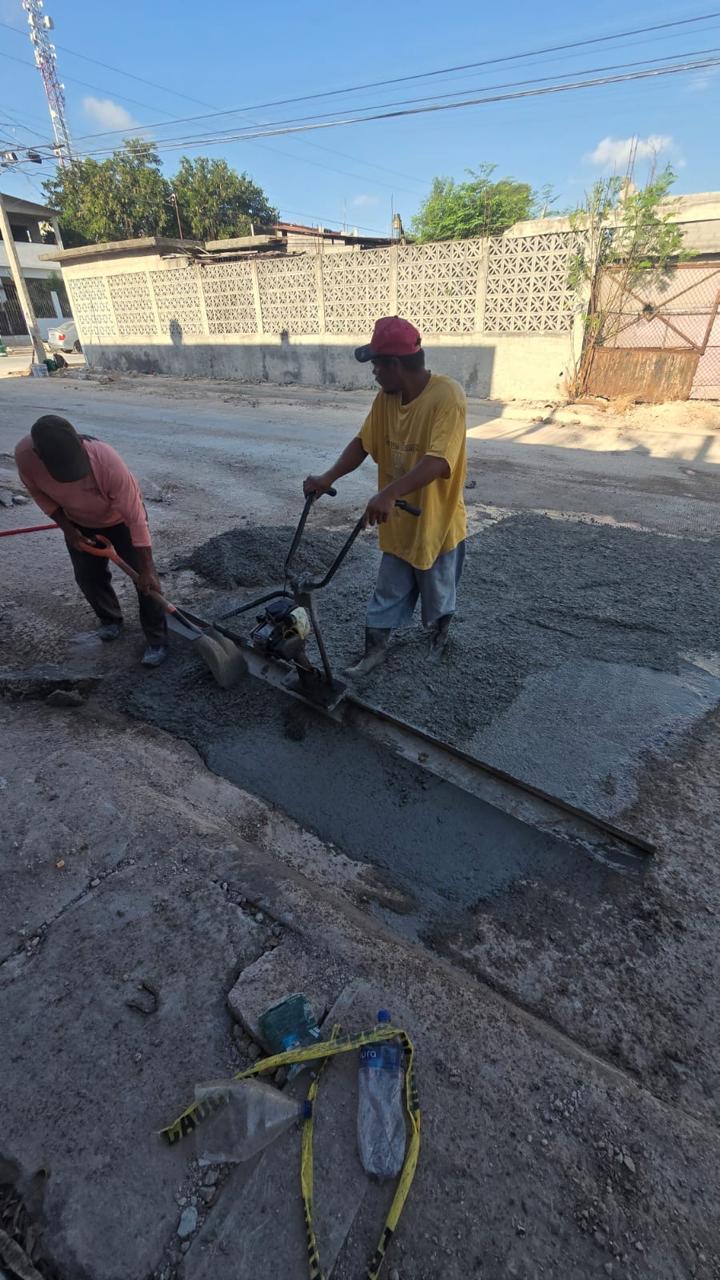 Imagen de la obra