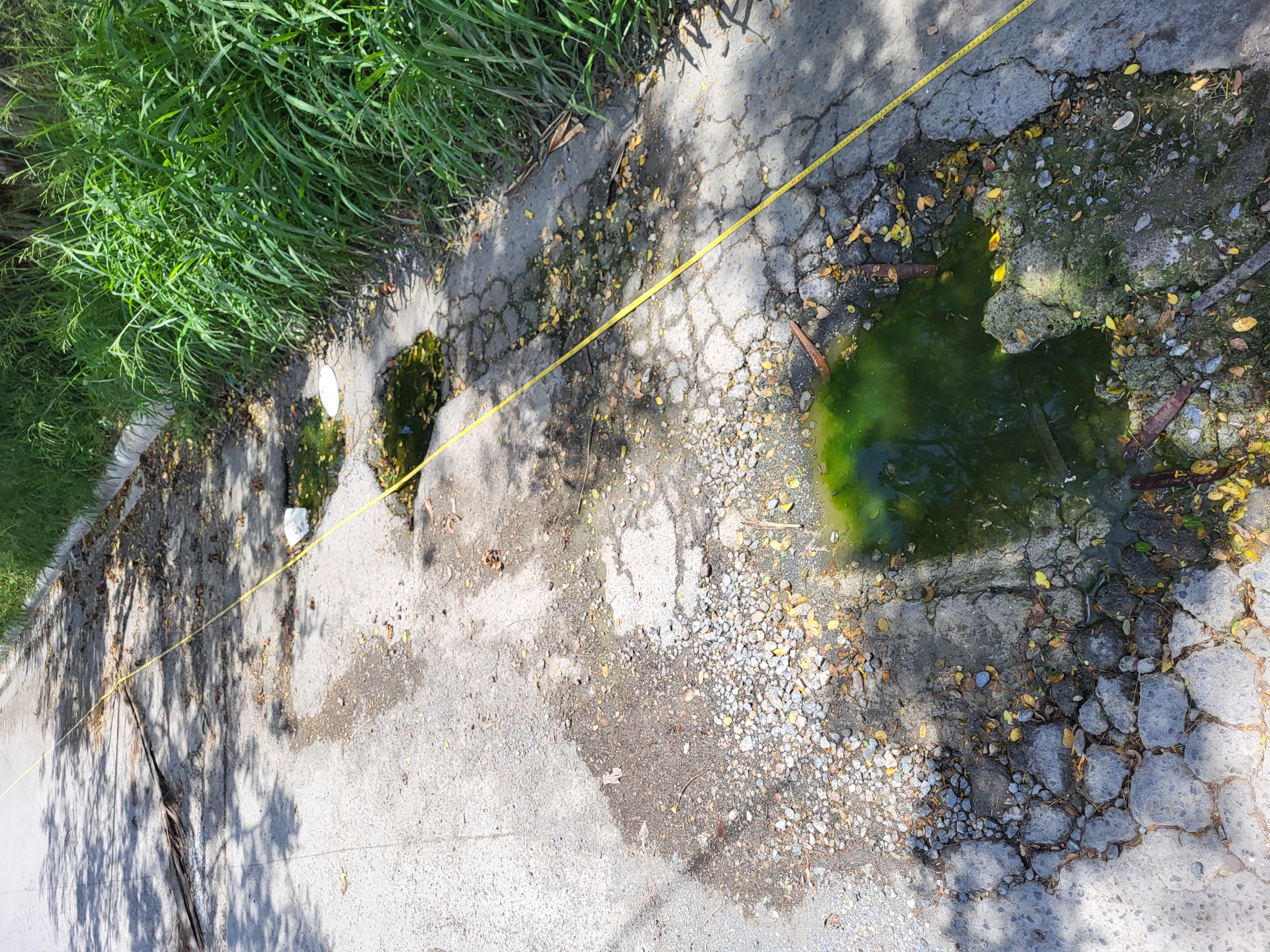 Imagen de la obra