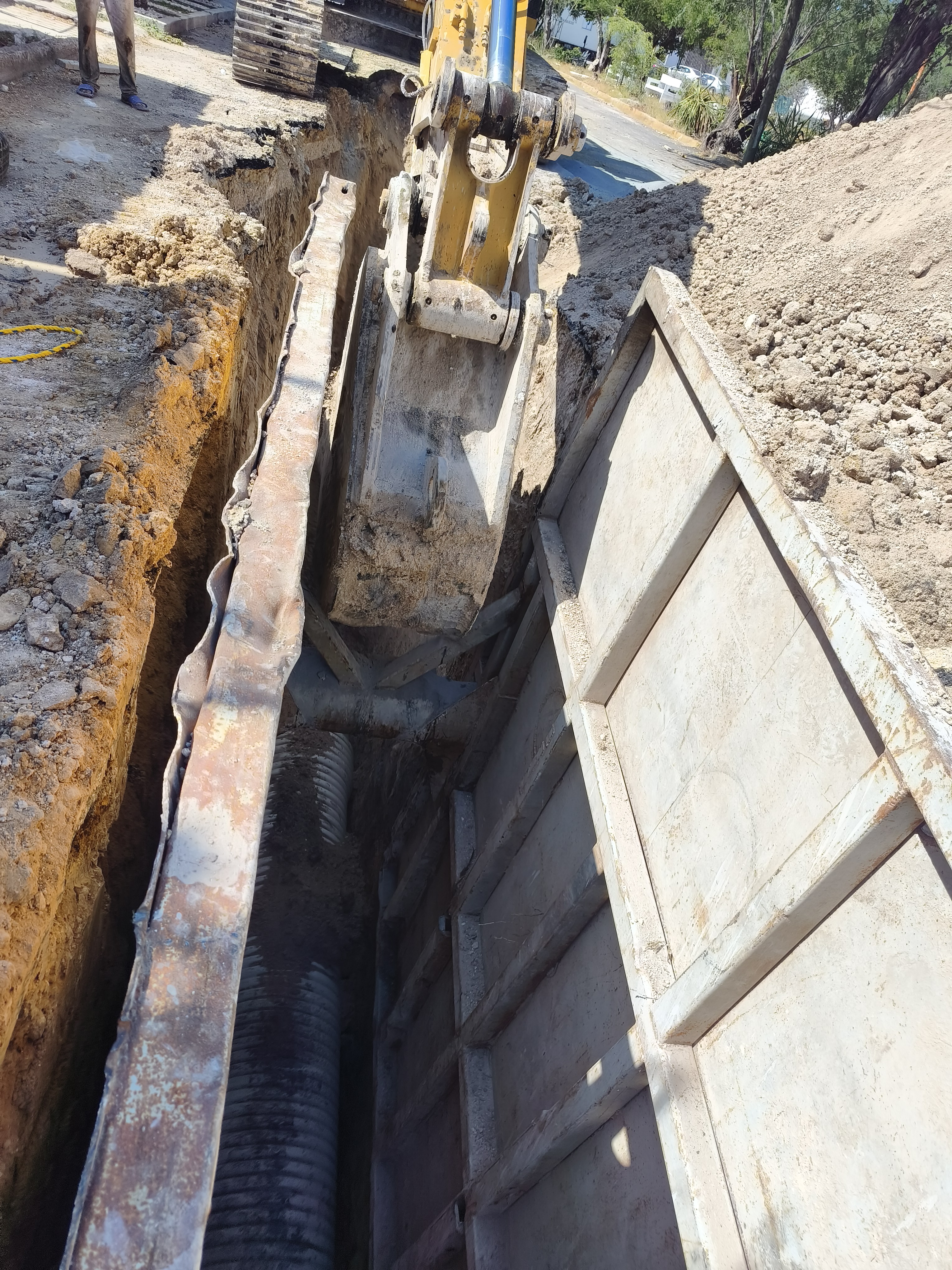 Imagen de la obra
