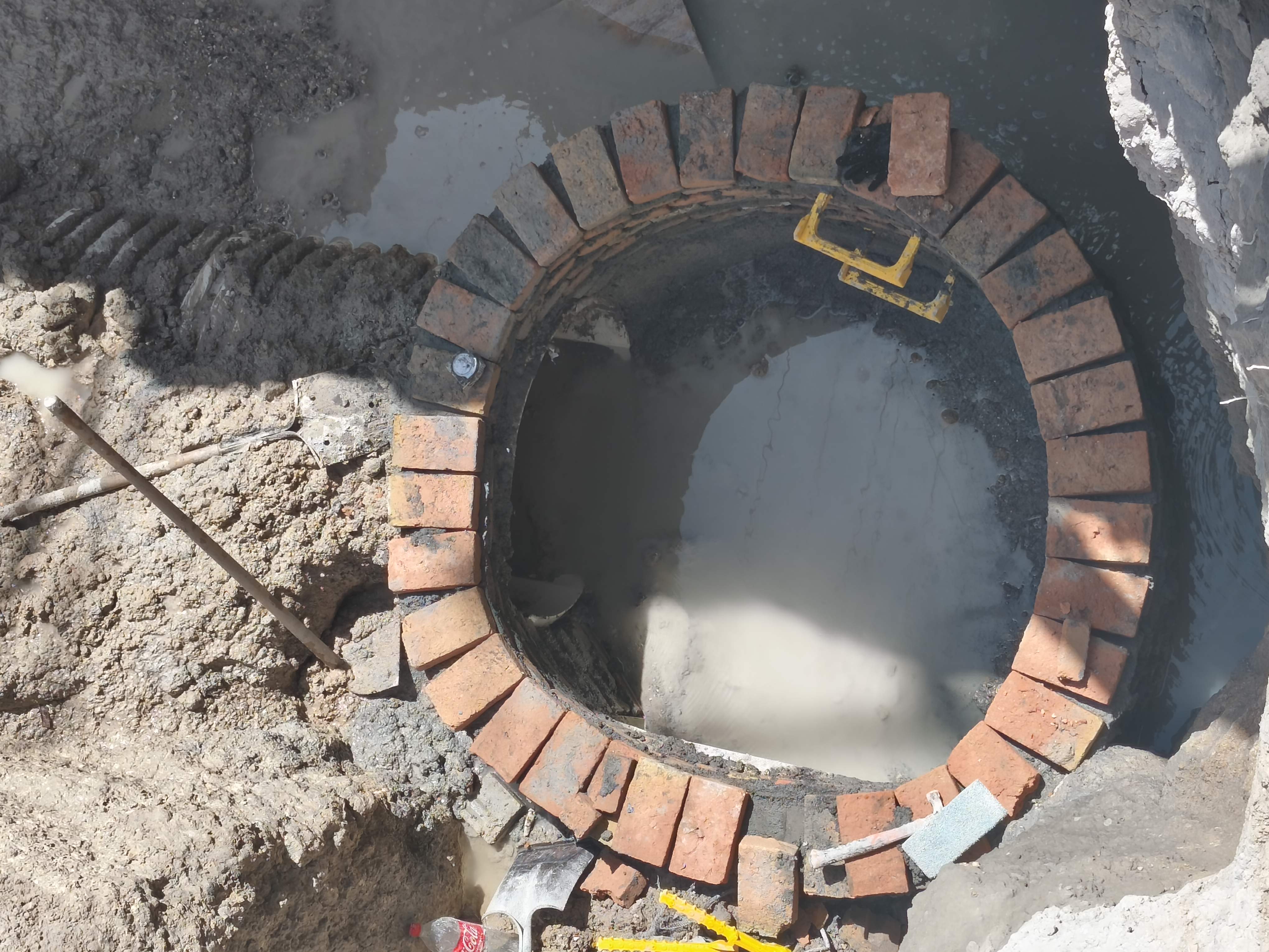 Imagen de la obra