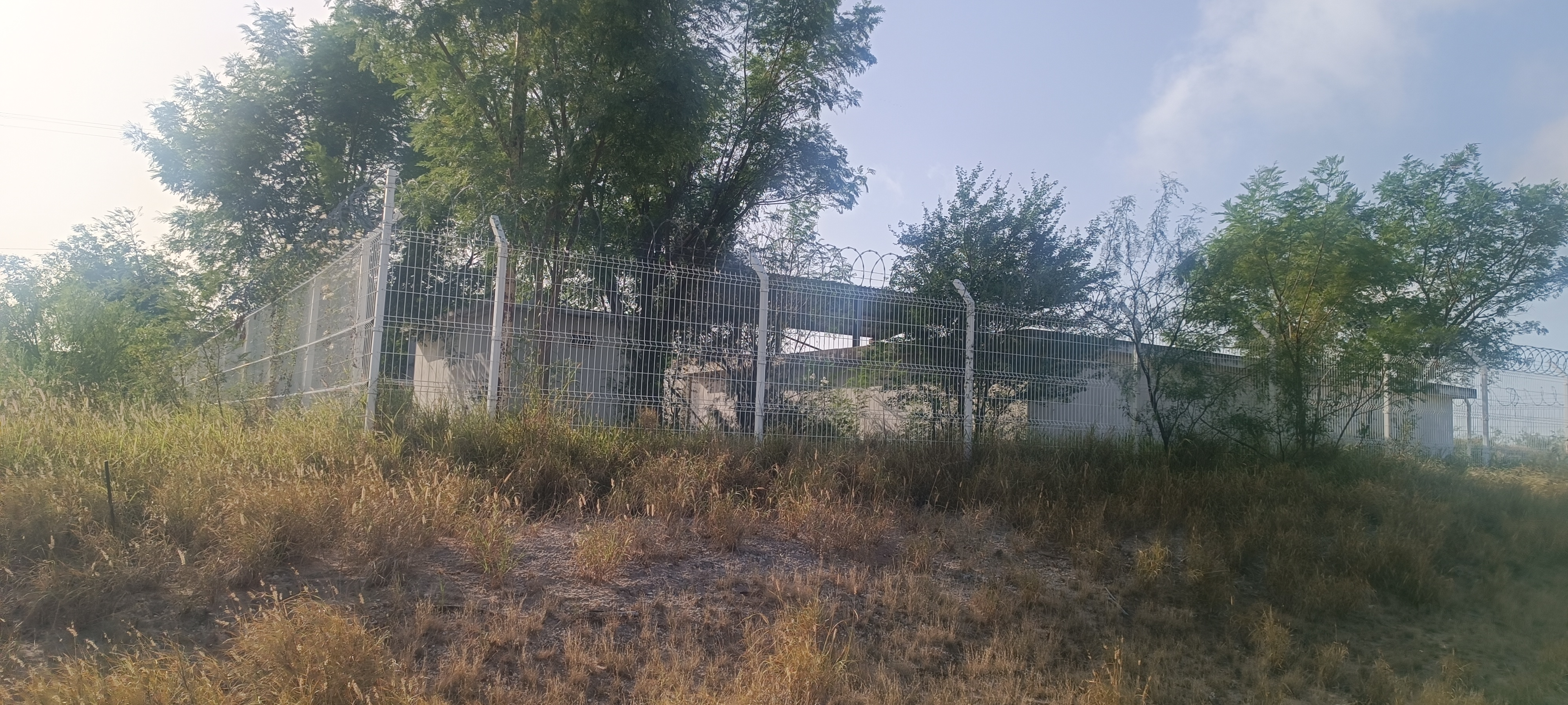 Imagen de la obra