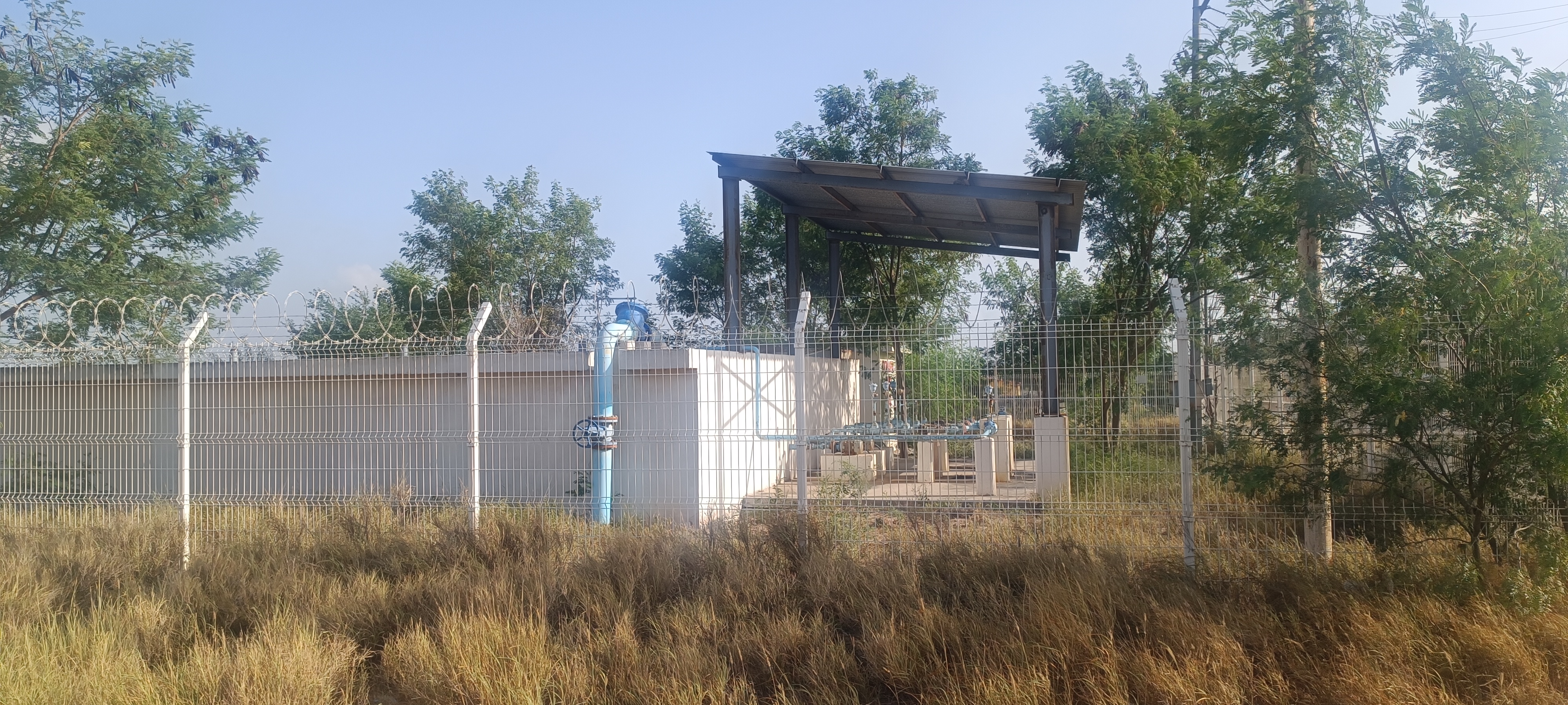 Imagen de la obra
