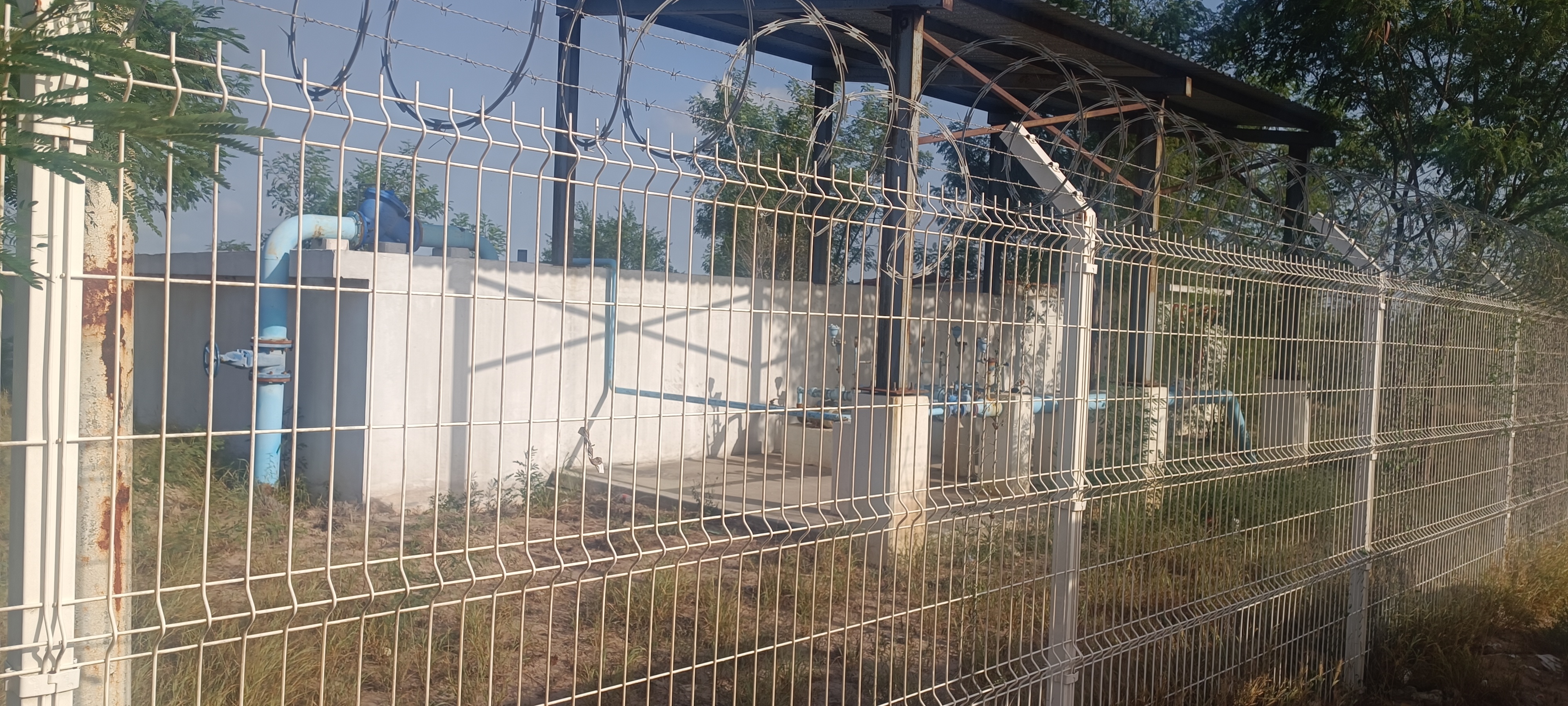 Imagen de la obra