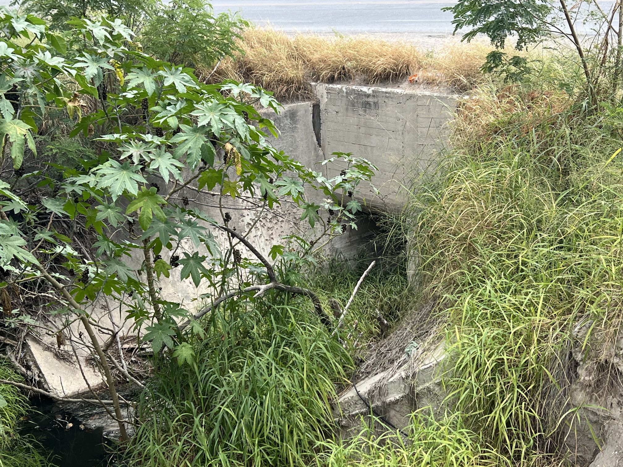 Imagen de la obra