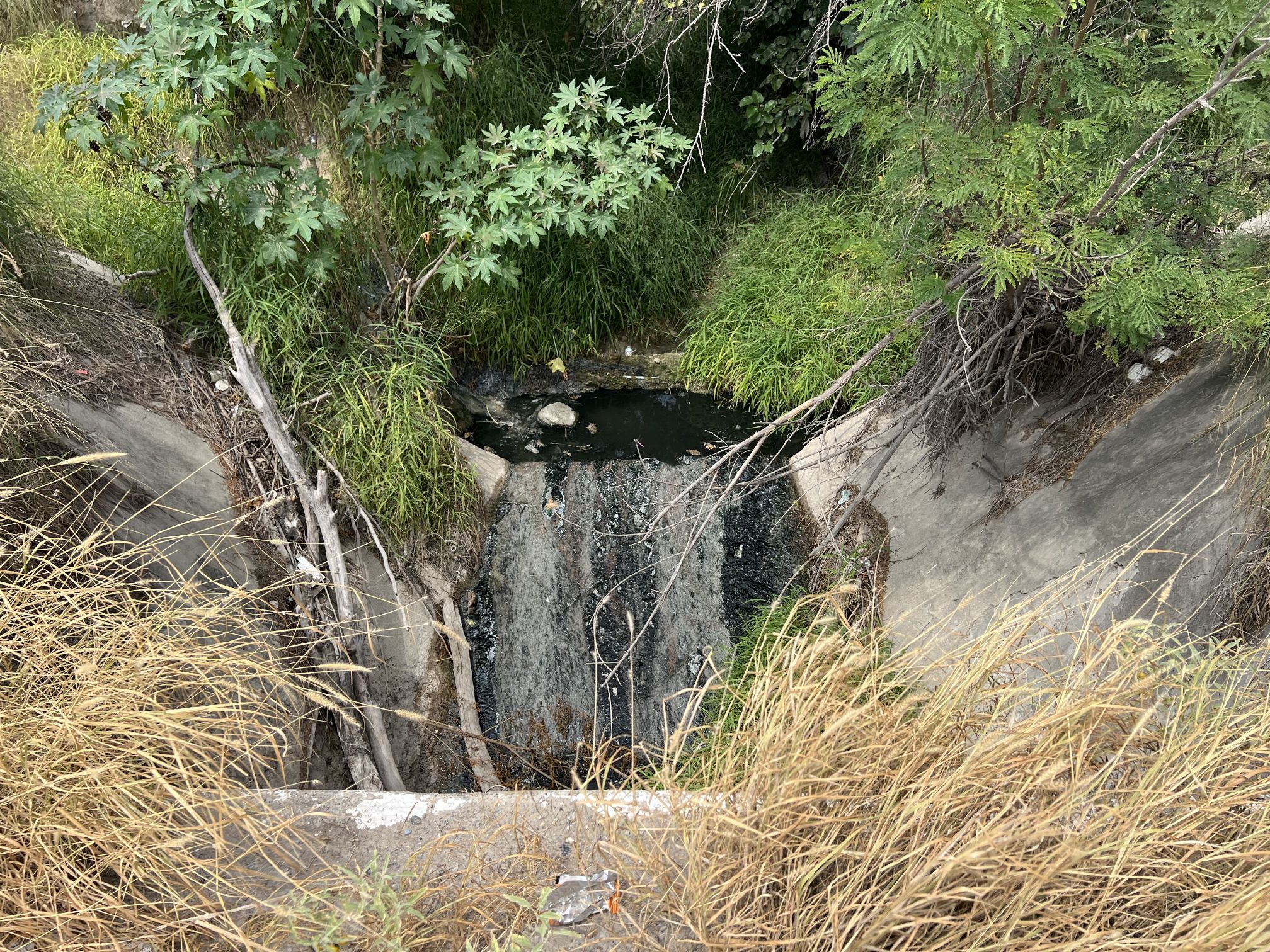 Imagen de la obra