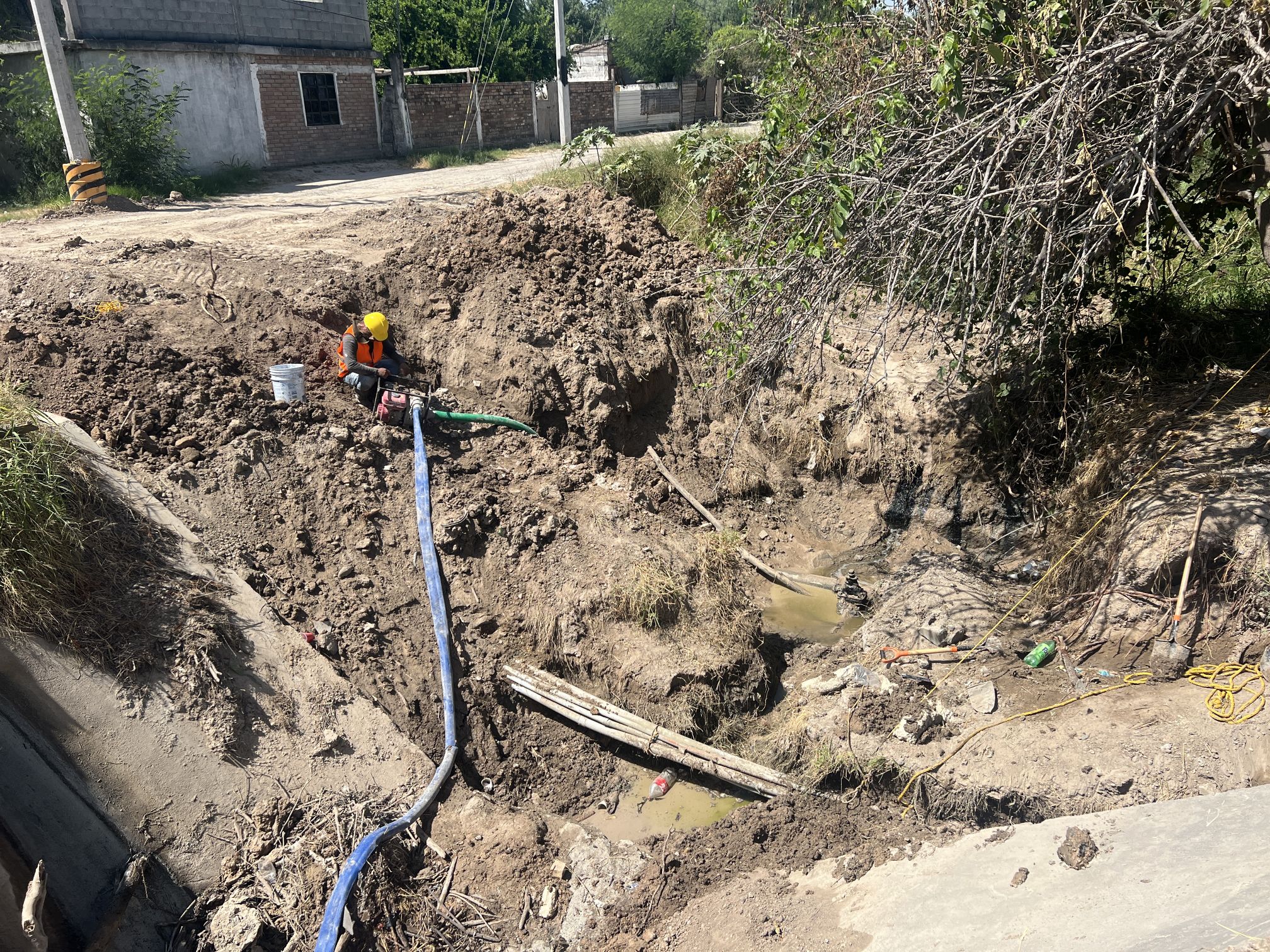 Imagen de la obra