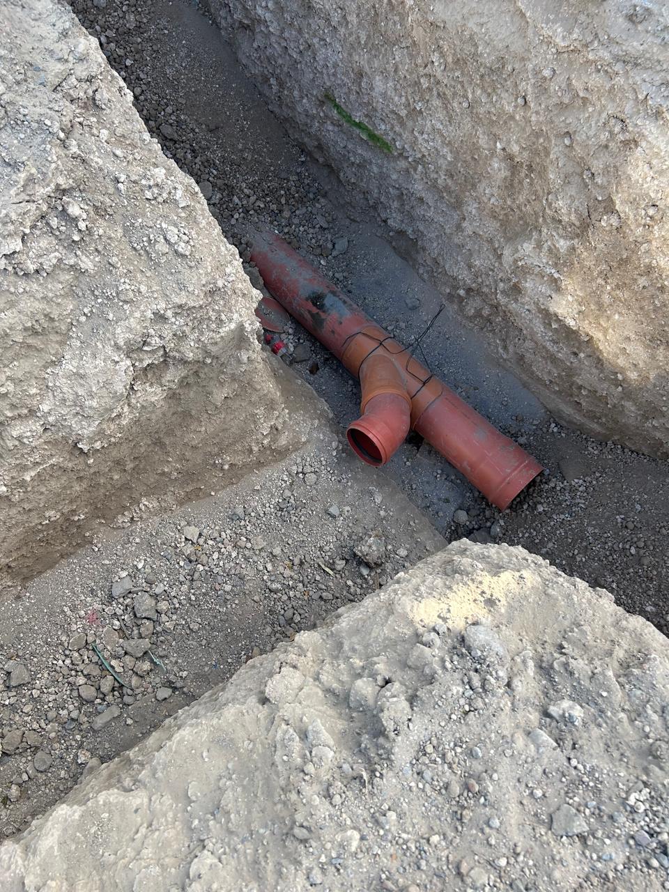 Imagen de la obra