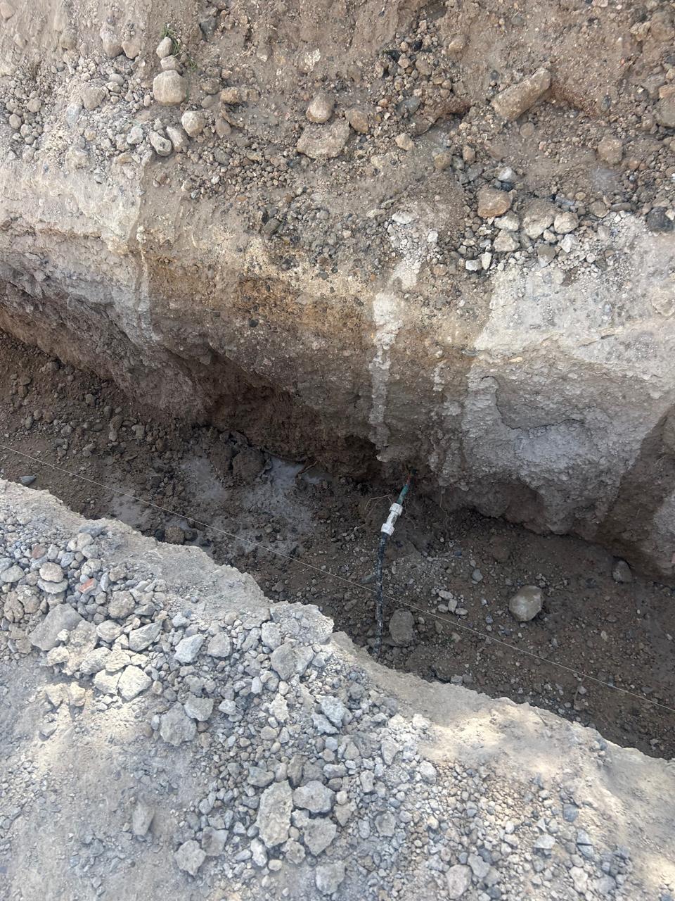Imagen de la obra