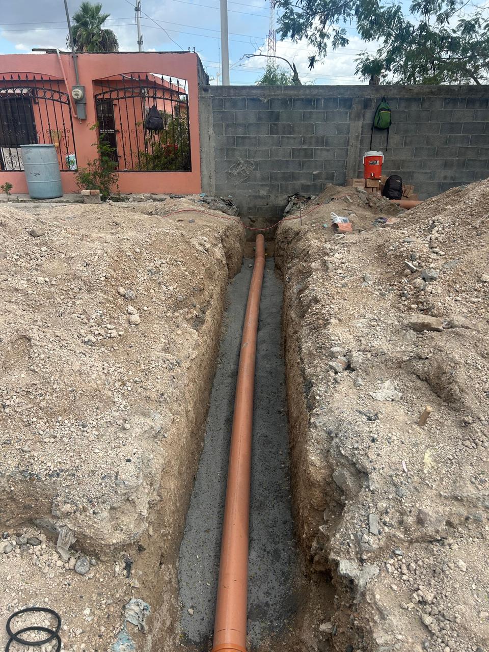 Imagen de la obra