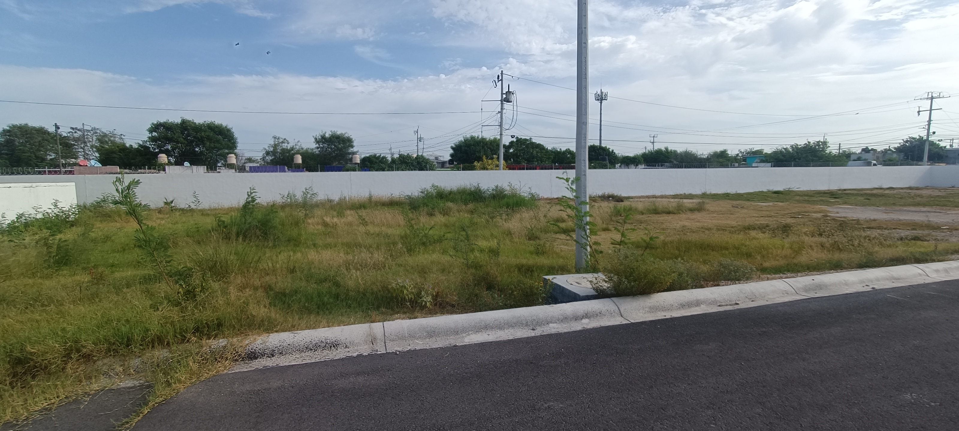 Imagen de la obra