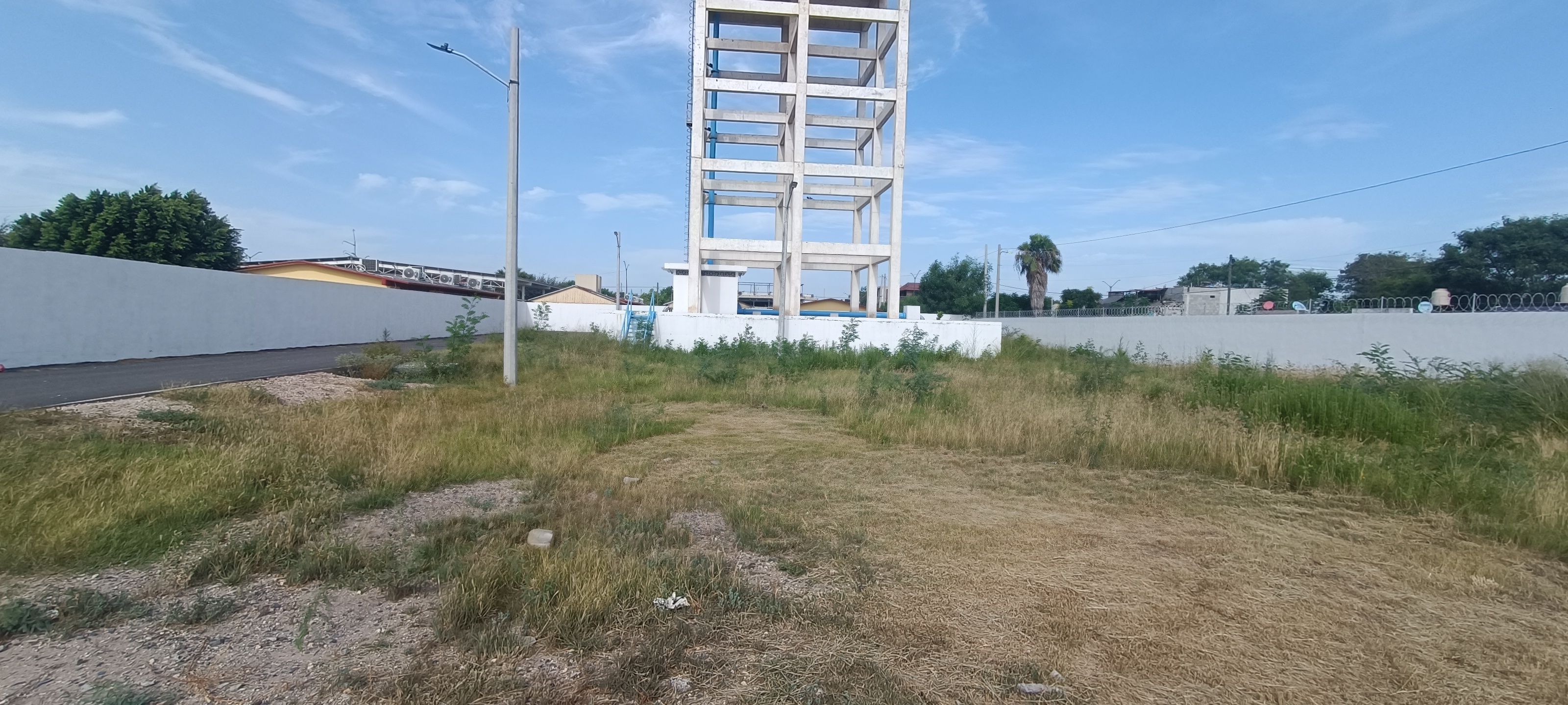 Imagen de la obra