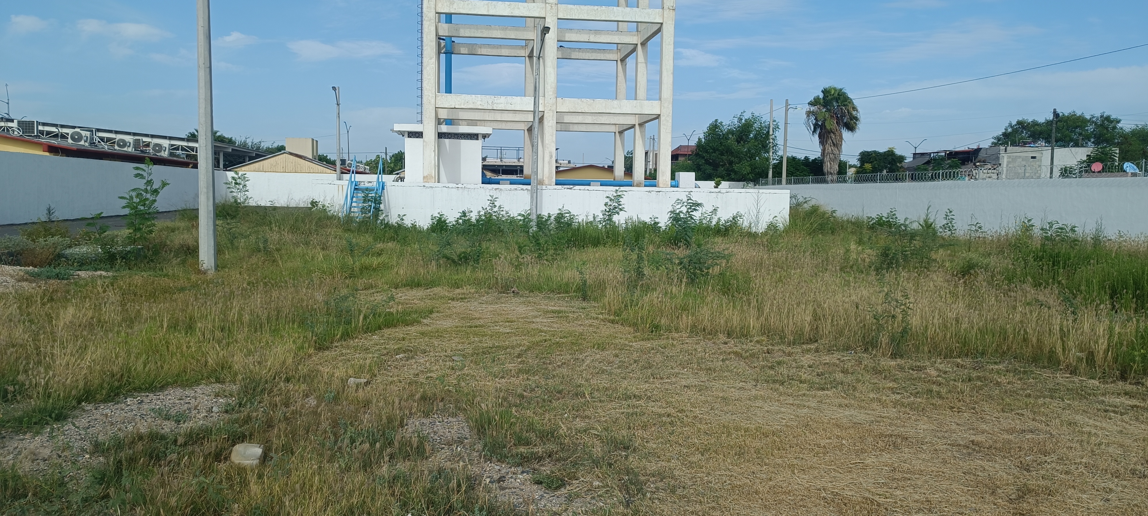 Imagen de la obra