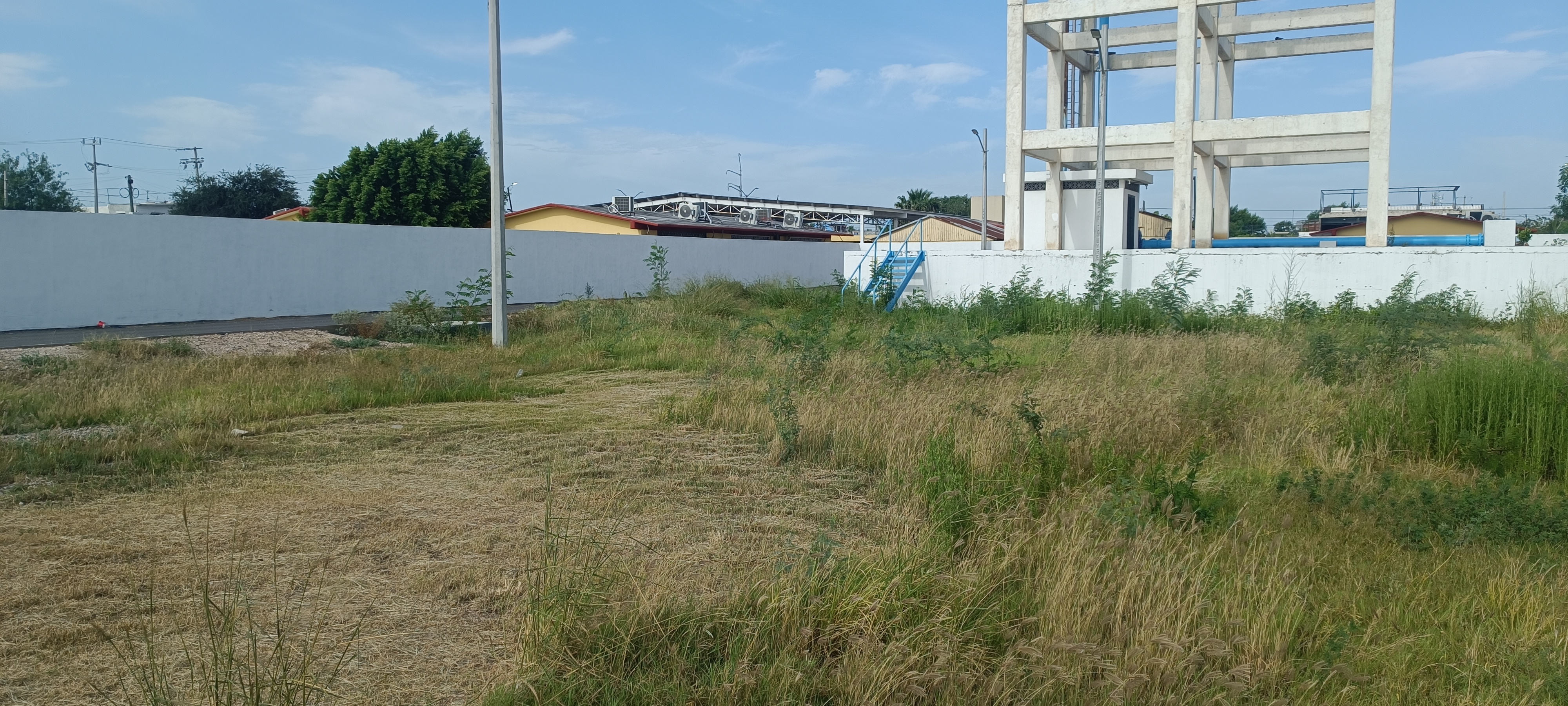 Imagen de la obra