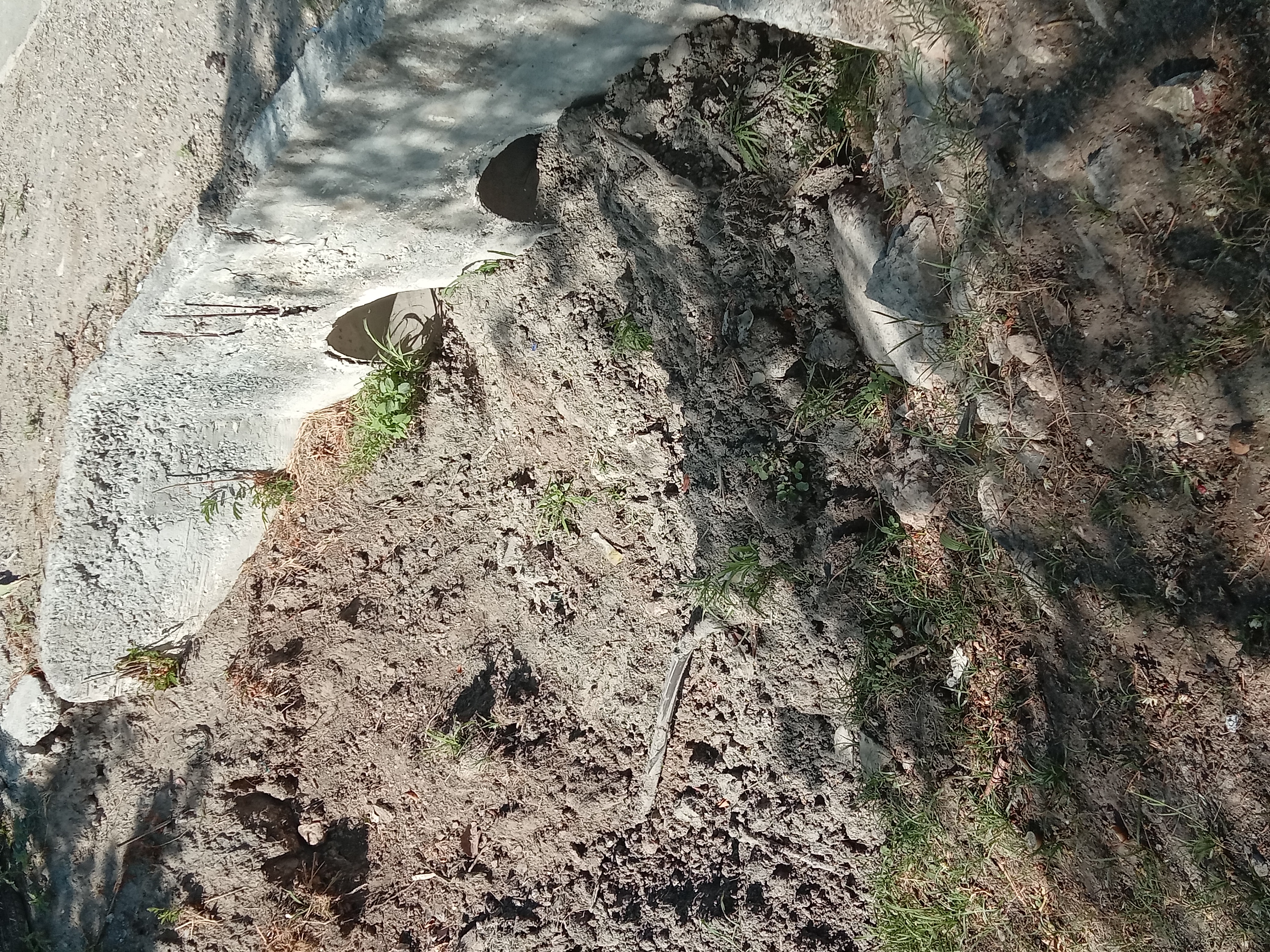 Imagen de la obra
