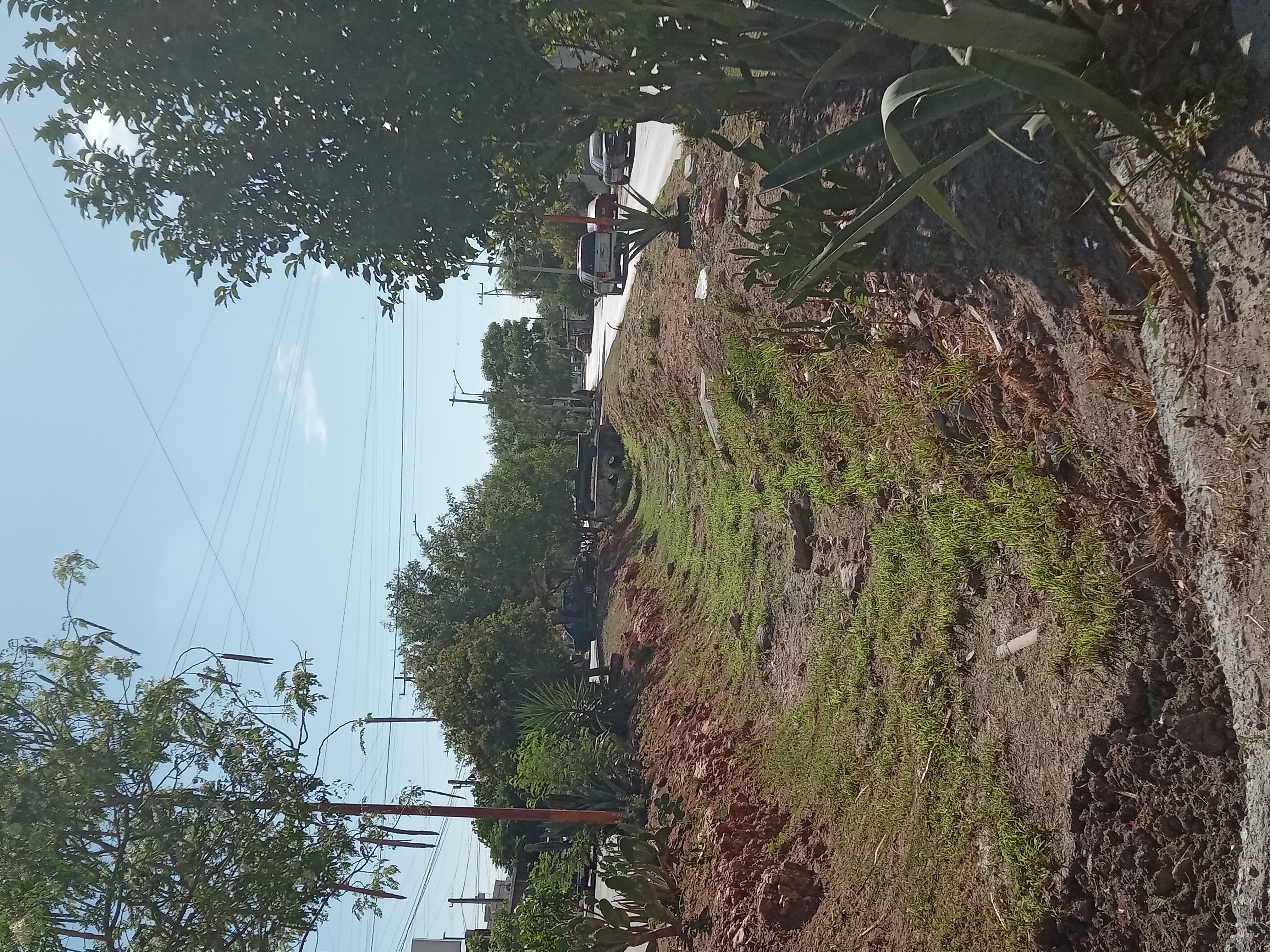 Imagen de la obra