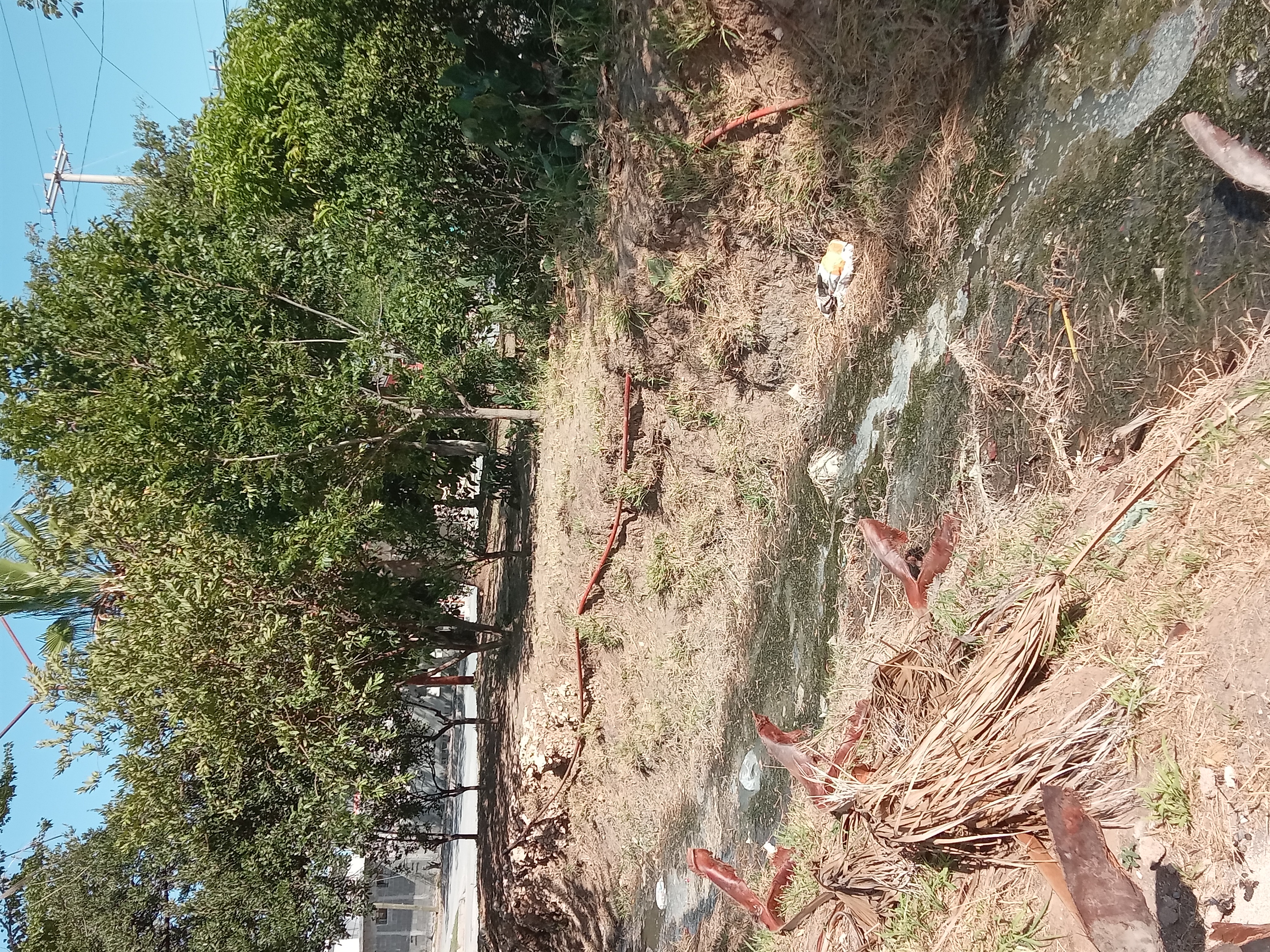 Imagen de la obra