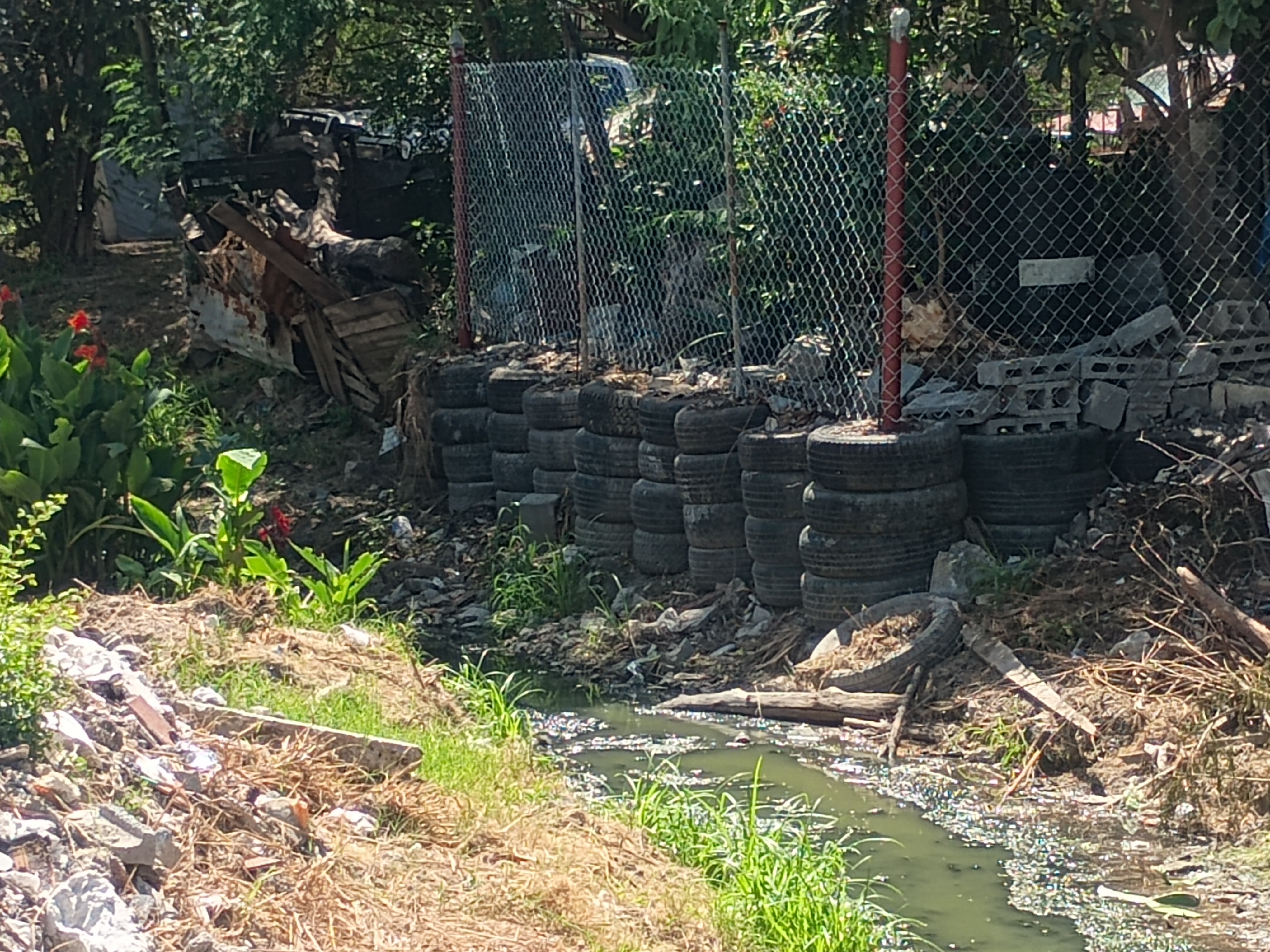 Imagen de la obra