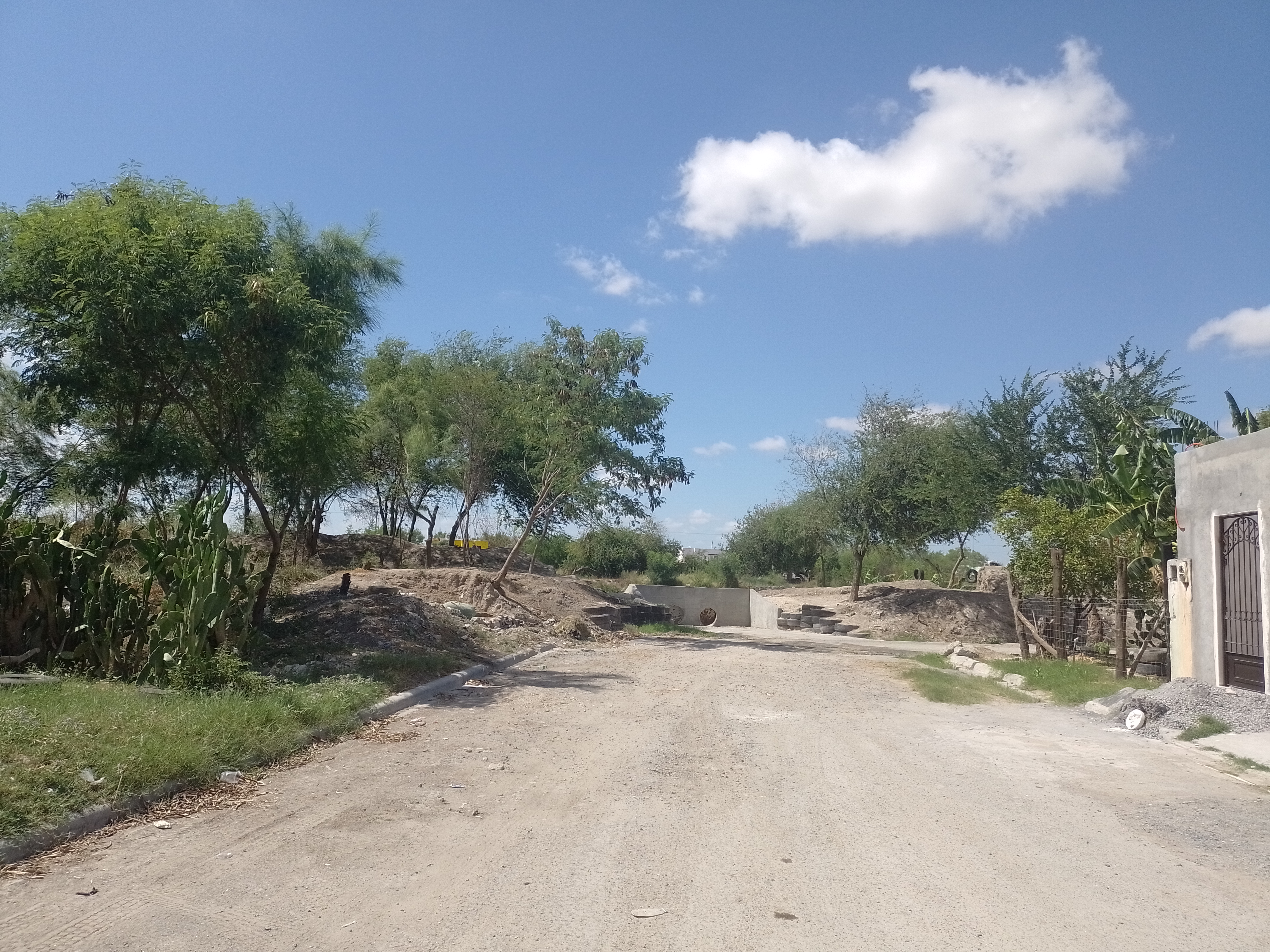 Imagen de la obra
