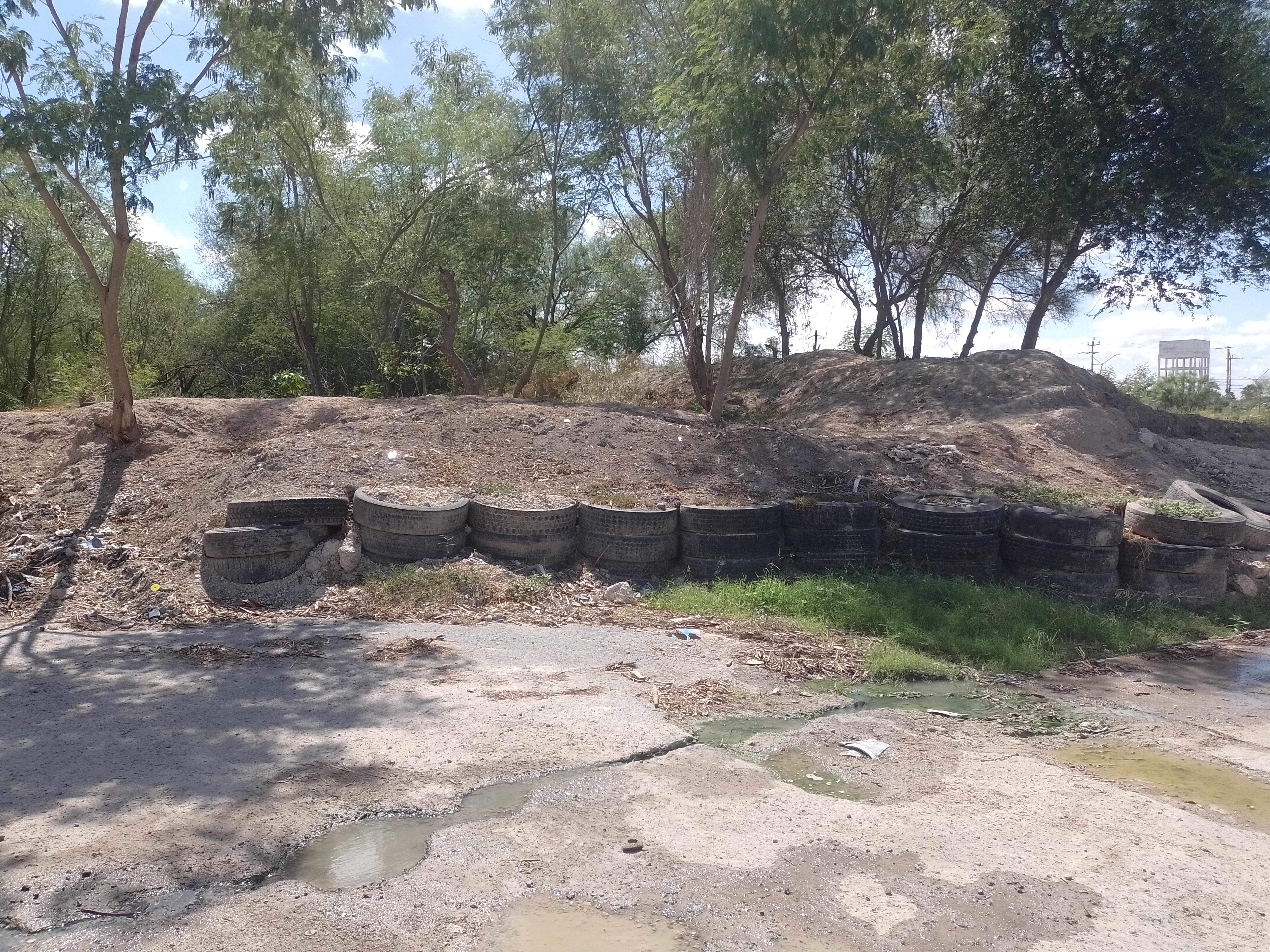 Imagen de la obra