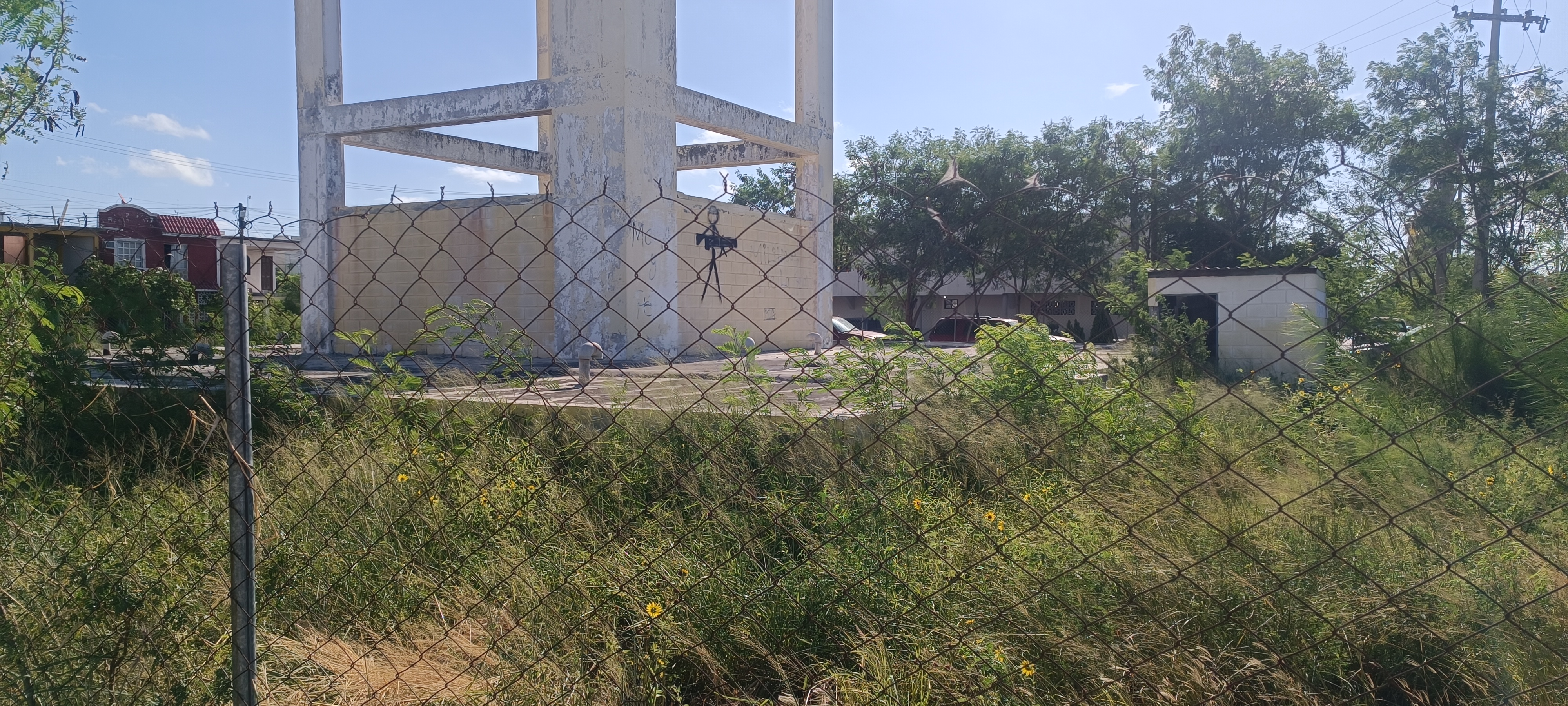 Imagen de la obra