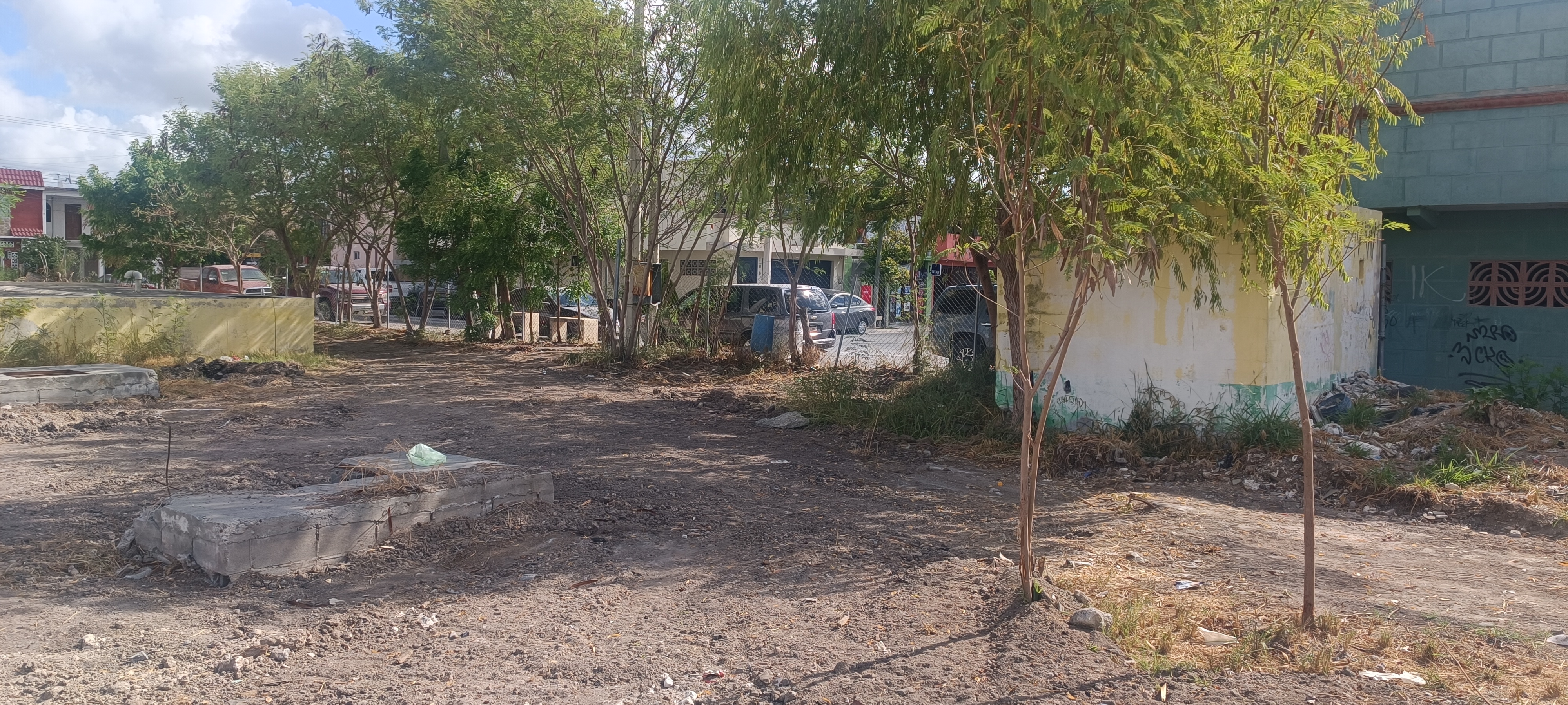 Imagen de la obra