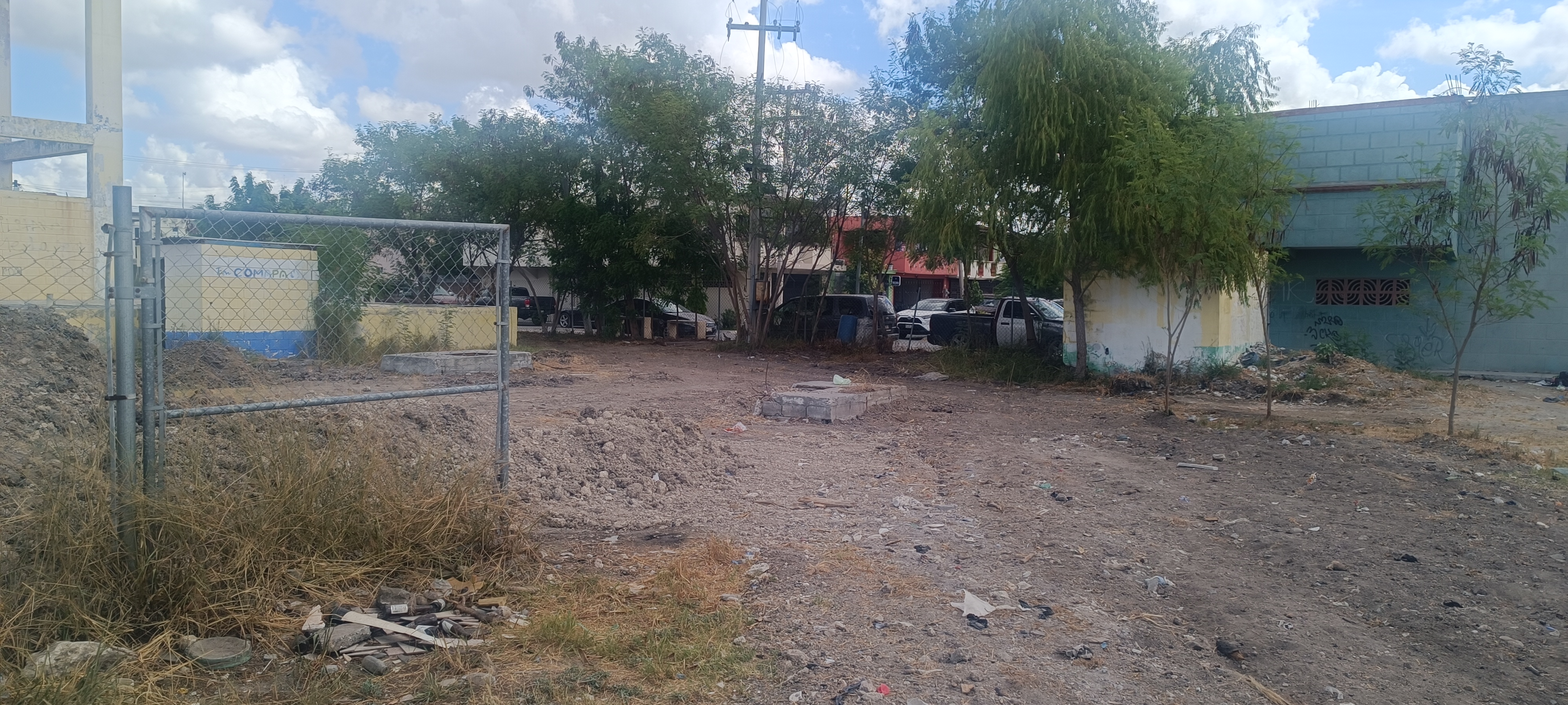 Imagen de la obra