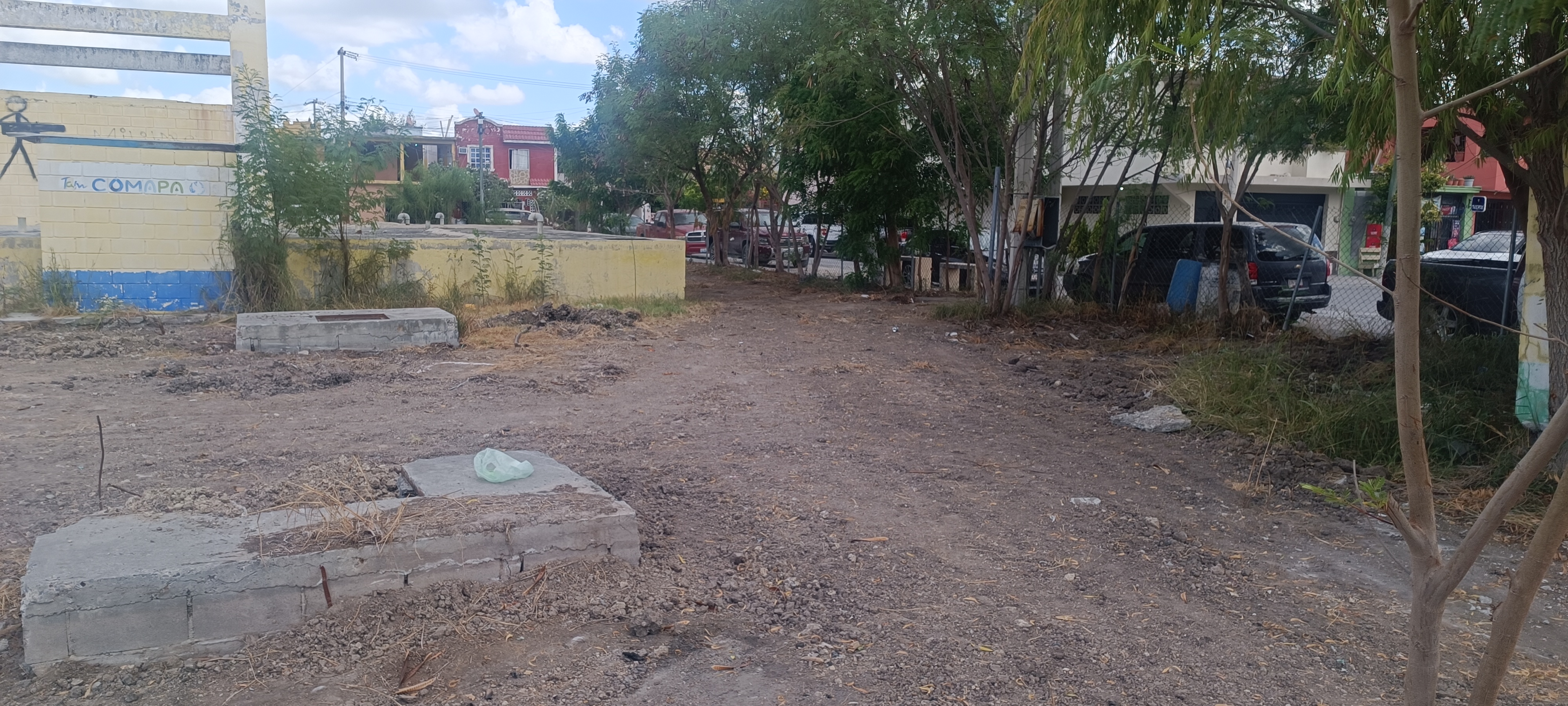 Imagen de la obra